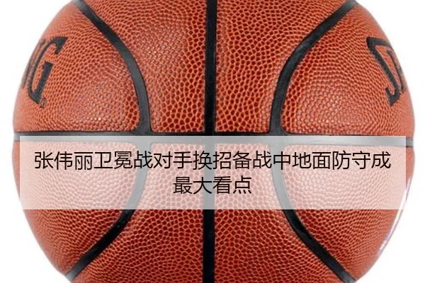 张伟丽卫冕战对手换招备战中地面防守成最大看点